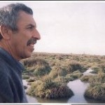 Najib Bachiri